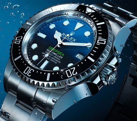 Rolex divers watch price